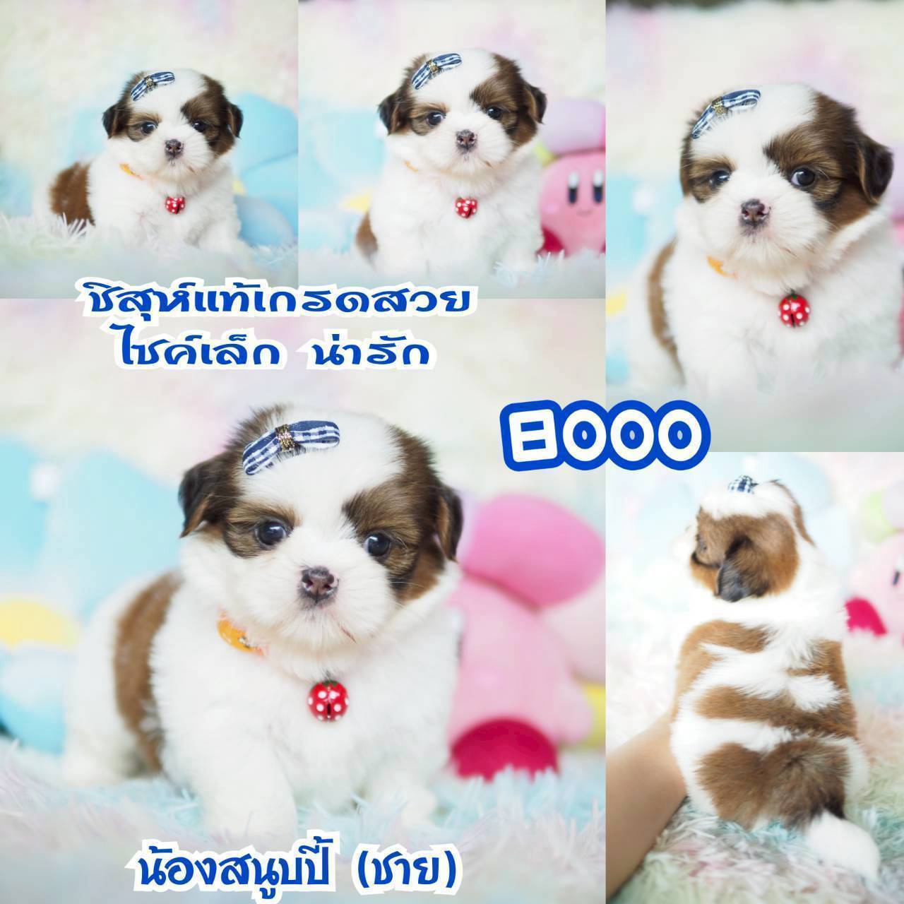 ❤️กิ๊ฟซ่า จัดโปร เกรดสวย สะพานใหม่ กทม.