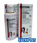 แชมพูรักษาโรคผิวหนัง Micocidine Plus (พิเศษ!!สั่งซื้อ10ขวด