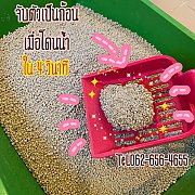 มีทรายแมวตัวใหม่ ราคาน่ารัก เบาๆสบายกระเป๋า  ขนาด 10 ลิตร ราคา 90-110 บาท