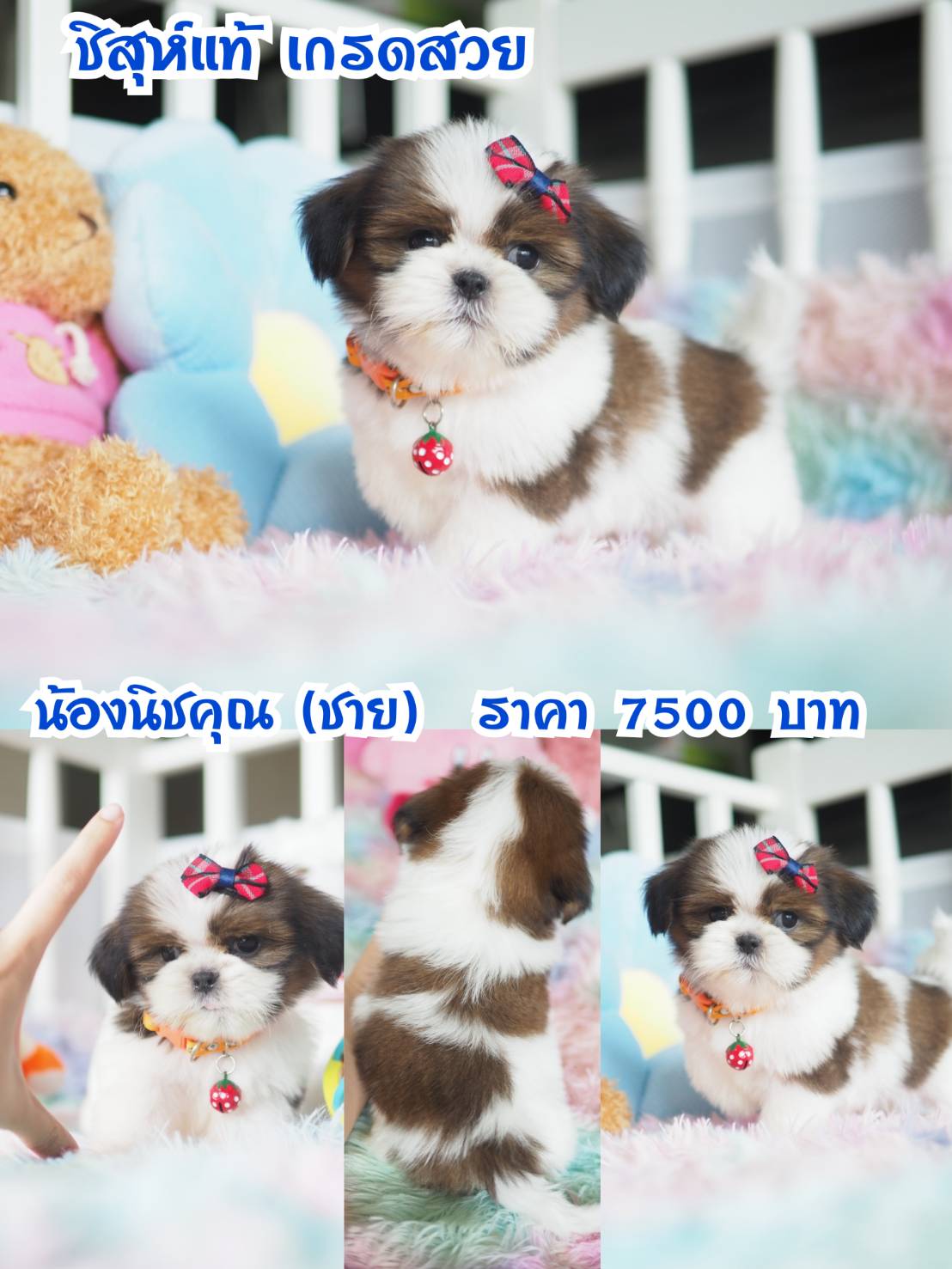 ⛔️กิ๊ฟซ่า ลดทั้งบ้าน