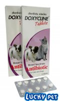 Doxy Cline ฆ่าเชื้อแบคทีเรีย (พิเศษ!!สั่งซื้อ10กล่องในราค850บาท