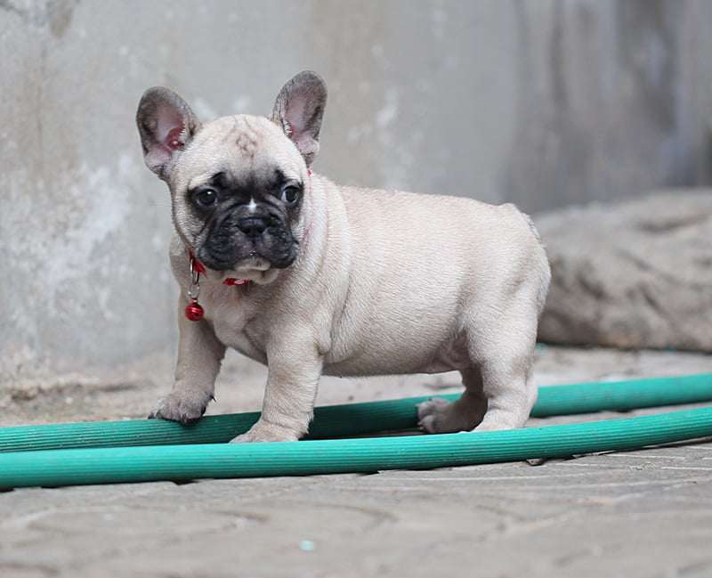 เฟรน น่ารักๆๆ