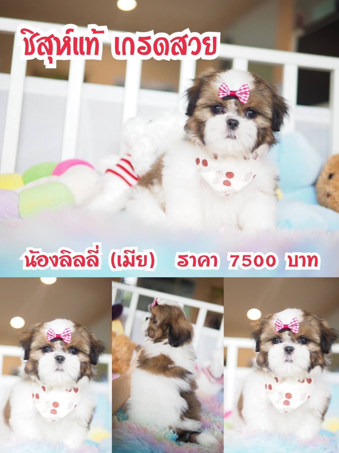 ⛔️kibzaa มีแต่สวยๆ