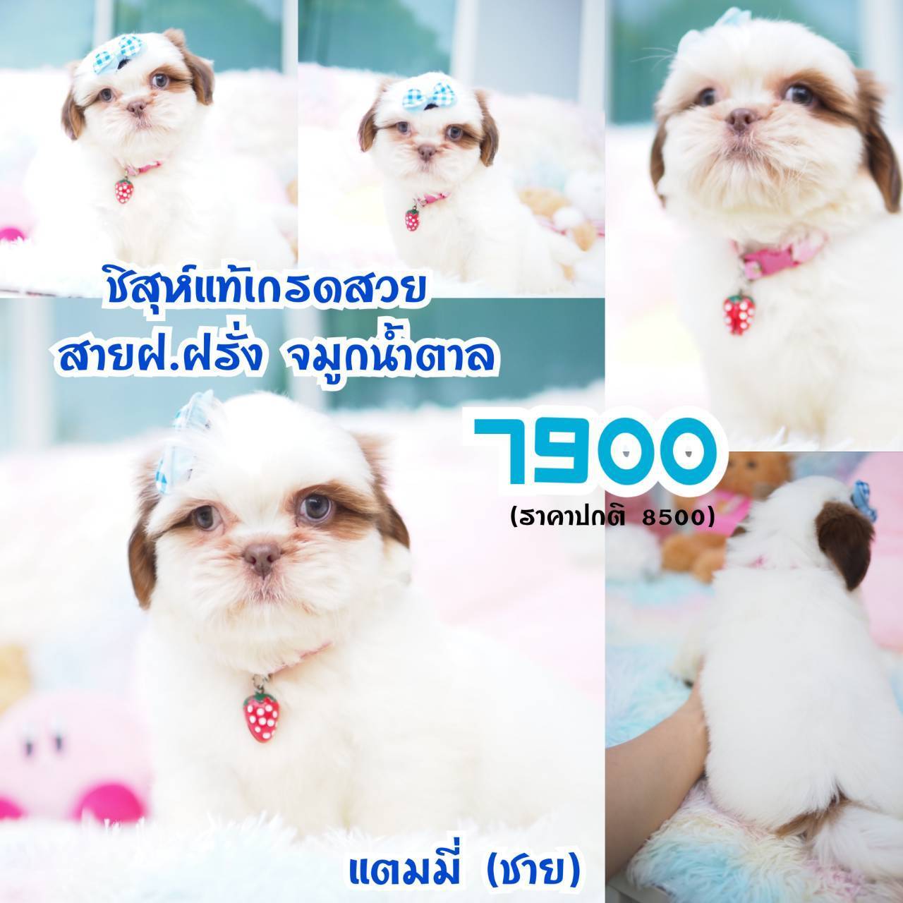 ❤️กิ๊ฟซ่า จัดโปร เกรดสวย สะพานใหม่ กทม.