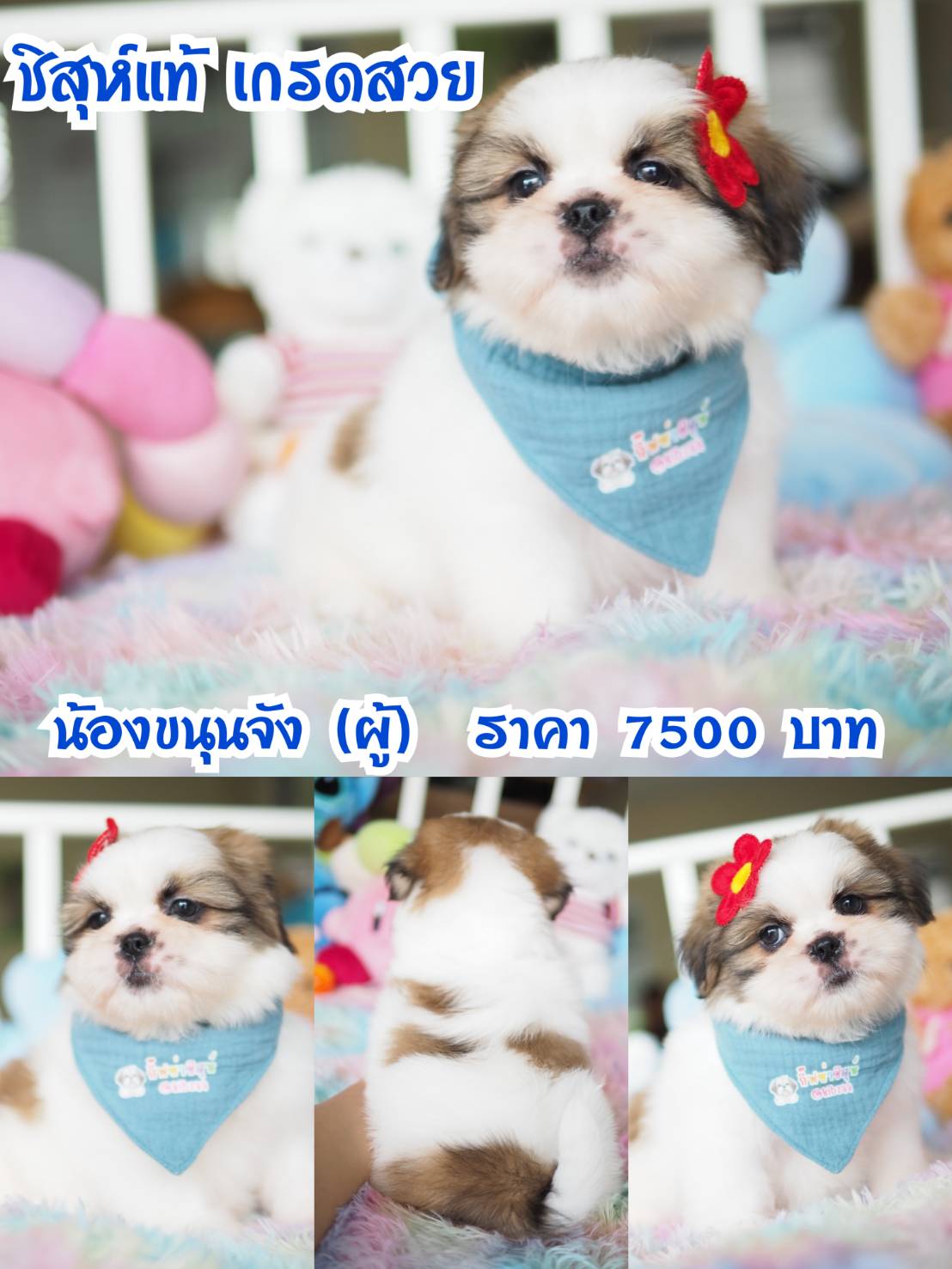 ⛔️kibzaa มีแต่สวยๆ