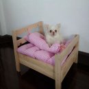 เตียงนอนหมา เตียงนอนแมว