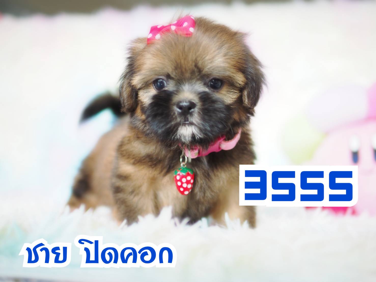 ❤️กิ๊ฟซ่า จัดโปร เกรดสวย สะพานใหม่ กทม.