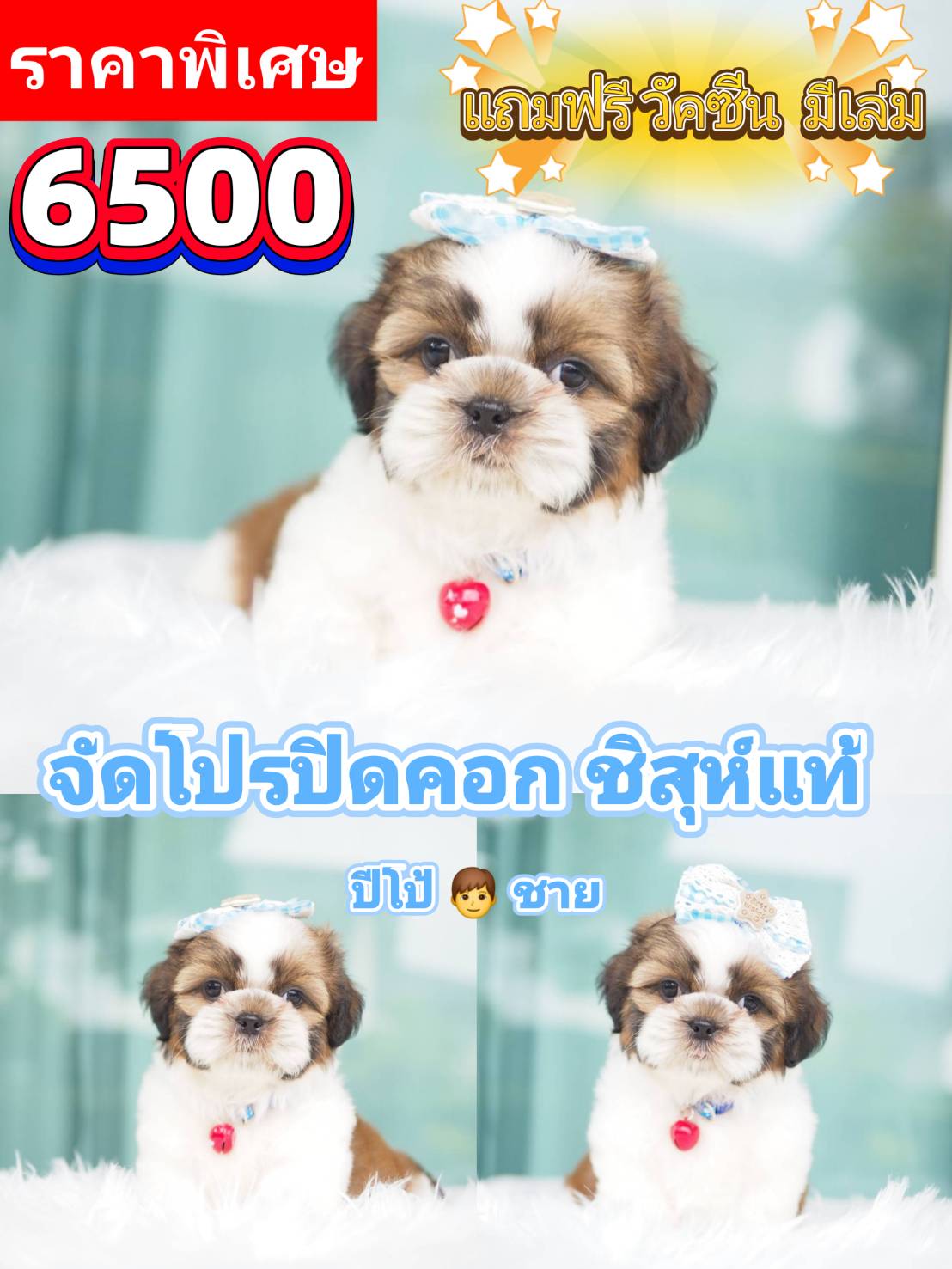 กิ๊ฟซ่า ❤️ วัคซีน แท้ 6500