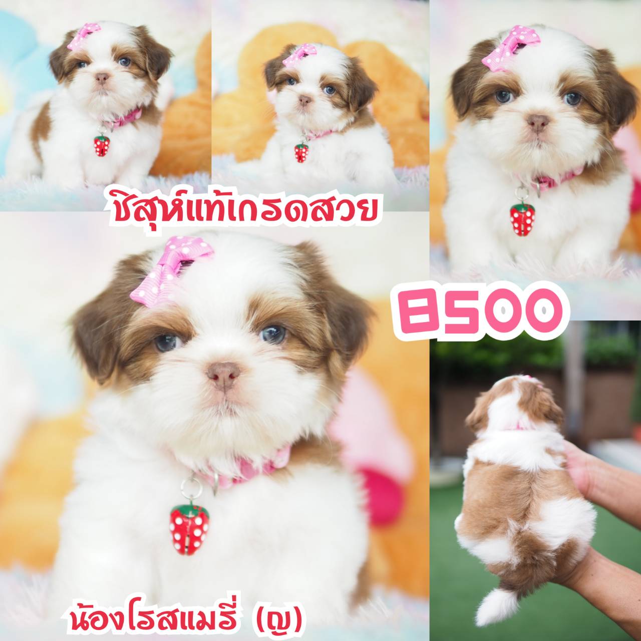 ❤️กิ๊ฟซ่า จัดโปร เกรดสวย สะพานใหม่ กทม.