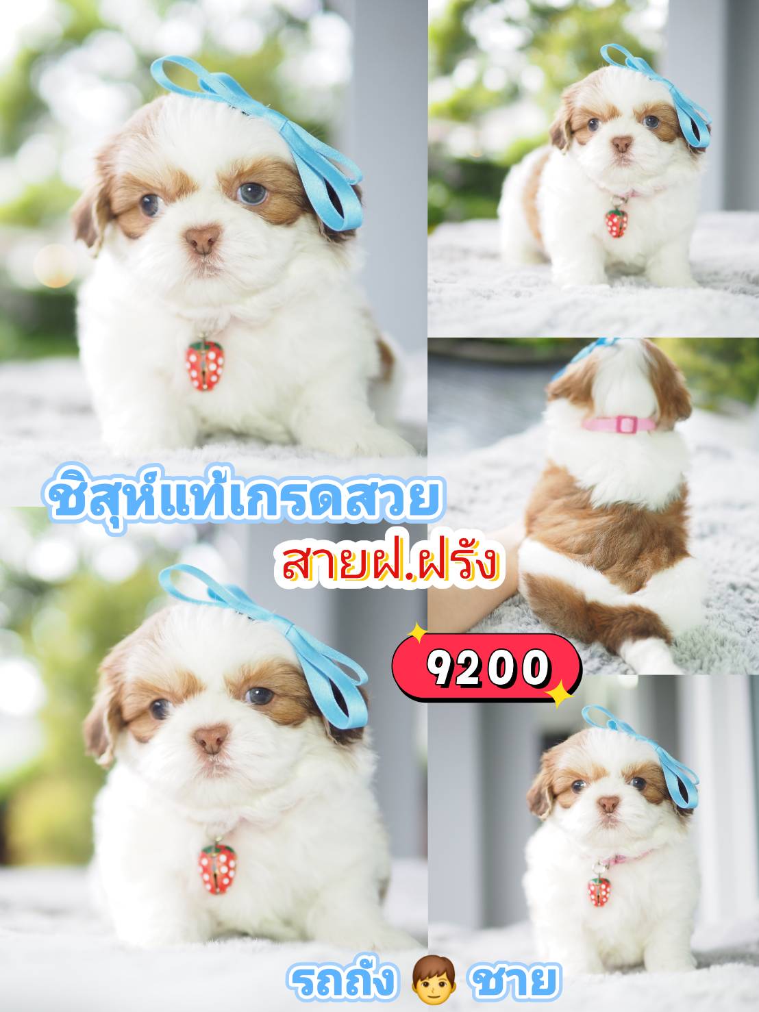 กิ๊ฟซ่า ❤️