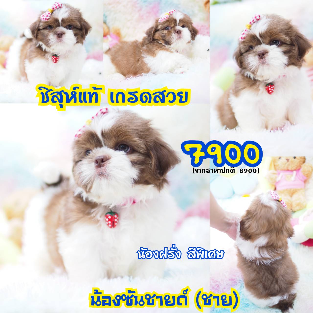 ❤️กิ๊ฟซ่า มีแต่สวยๆ