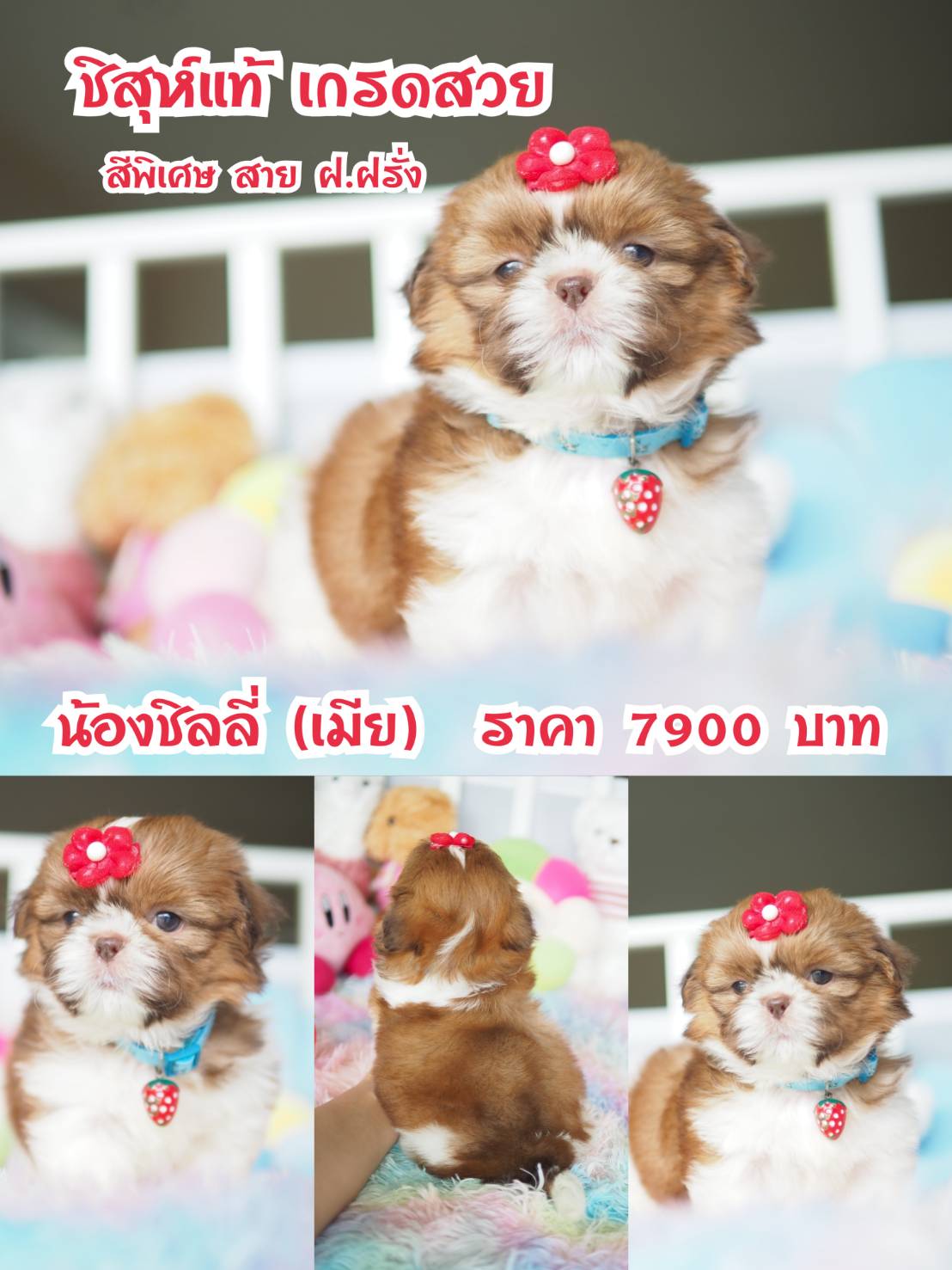 ⛔️kibzaa ลดทั้งบ้าน