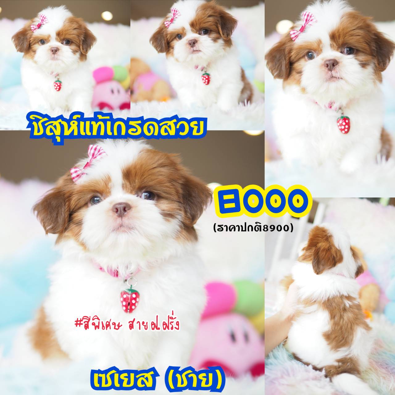 ❣️กิ๊ฟซ่า สวยและดี