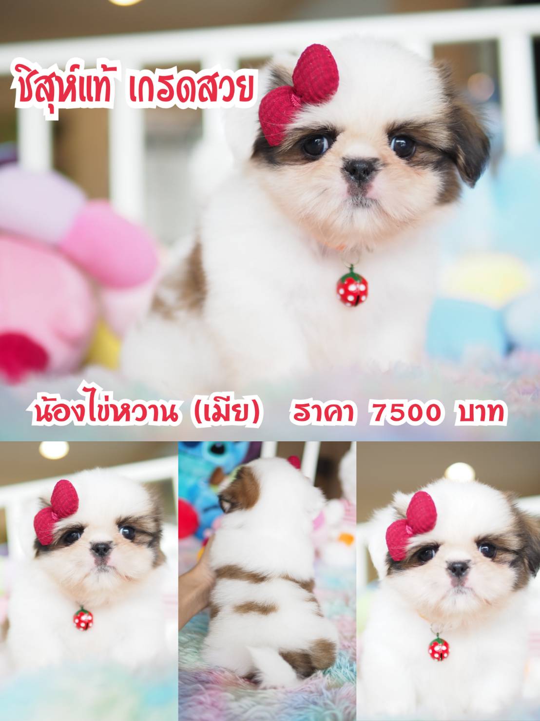 ⛔️kibzaa มีแต่สวยๆ