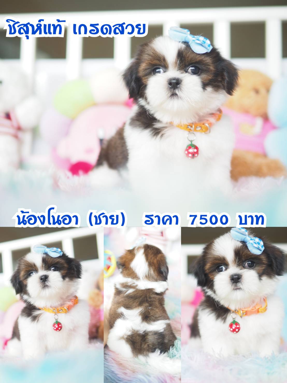 ⛔️กิ๊ฟซ่า ลดทั้งบ้าน