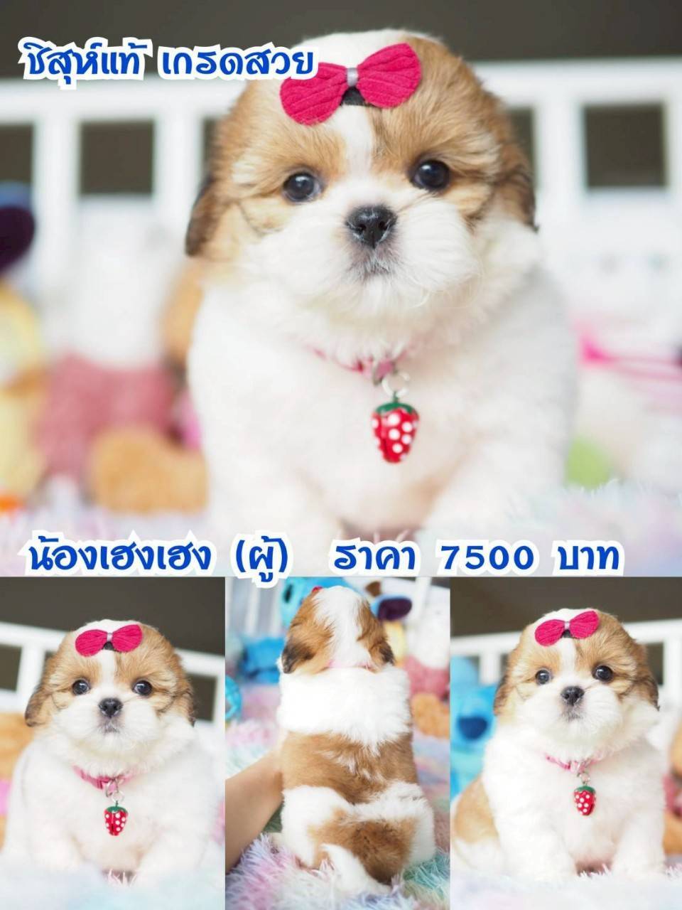 ⛔️กิ๊ฟซ่า ลดทั้งบ้าน