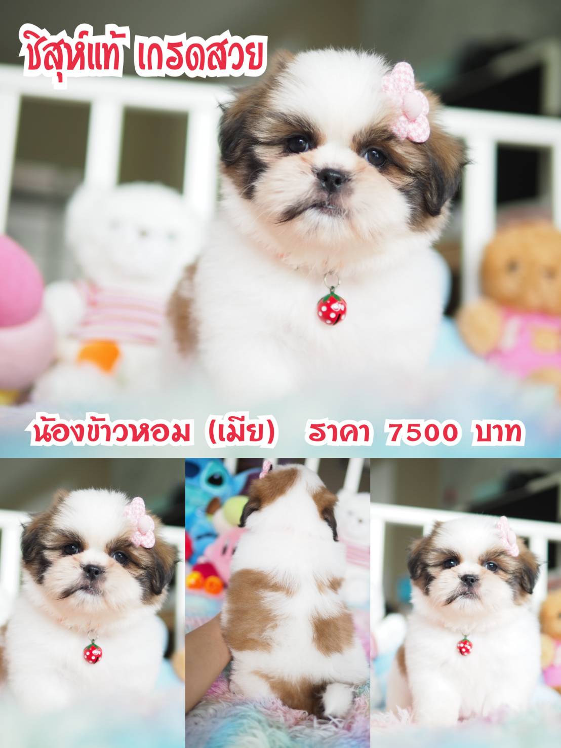 ⛔️kibzaa มีแต่สวยๆ