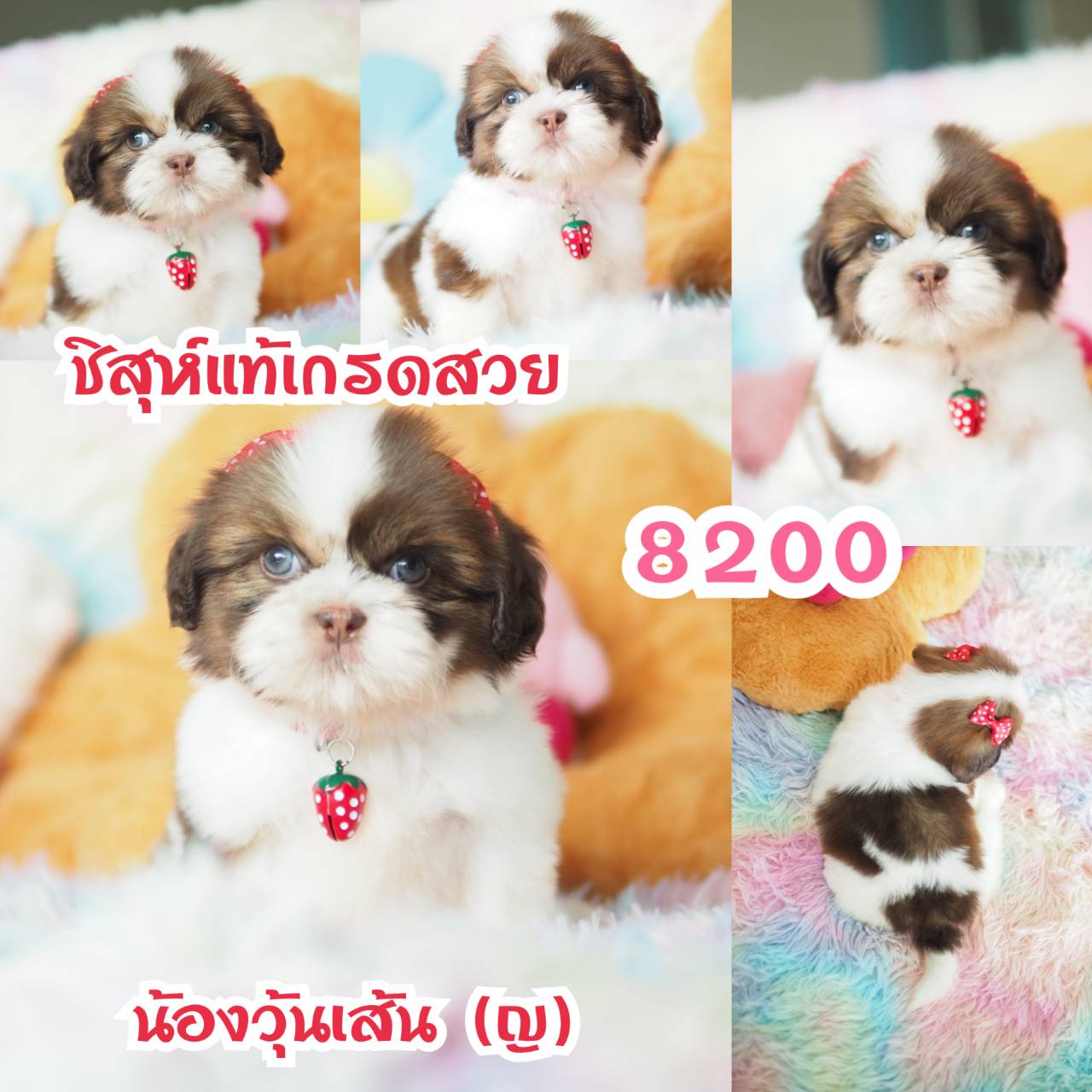 ❤️กิ๊ฟซ่า จัดโปร เกรดสวย สะพานใหม่ กทม.