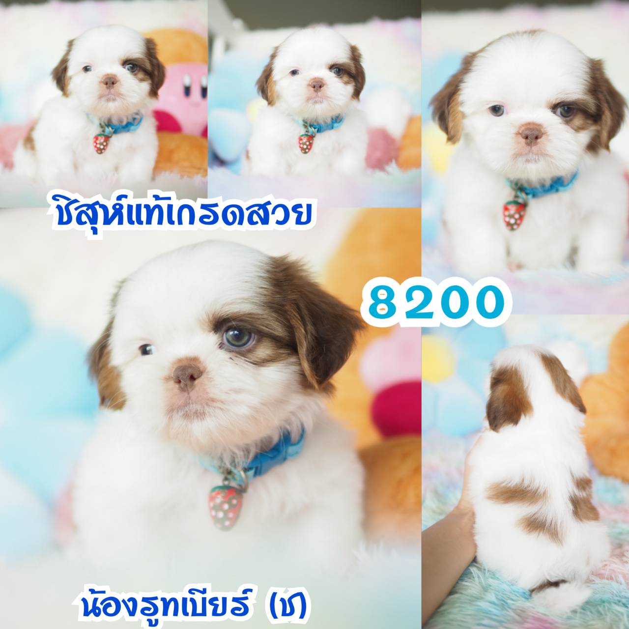 ❤️กิ๊ฟซ่า จัดโปร เกรดสวย สะพานใหม่ กทม.