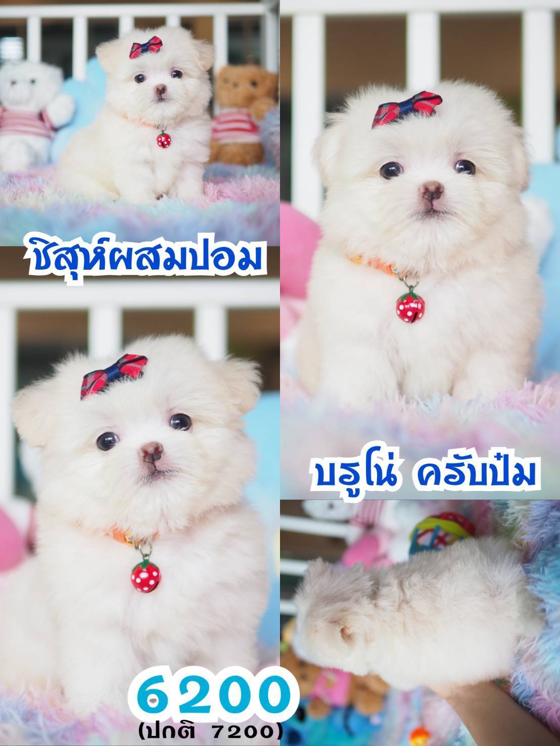 ⛔️kibzaa มีแต่สวยๆ