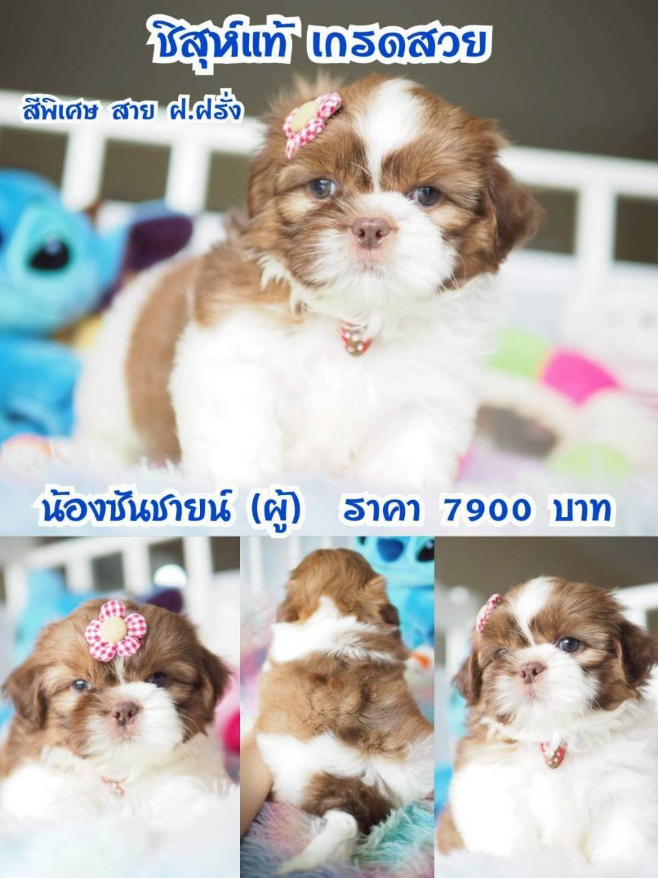 ⛔️กิ๊ฟซ่า ลดทั้งบ้าน