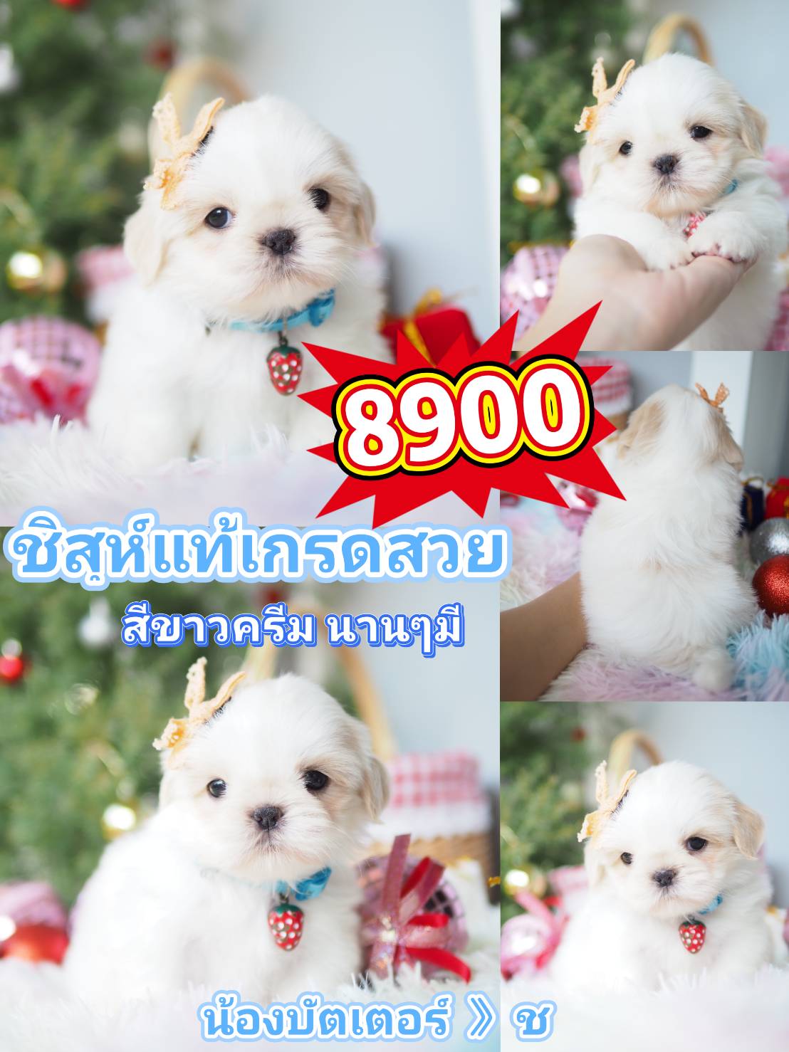 กิ๊ฟซ่า