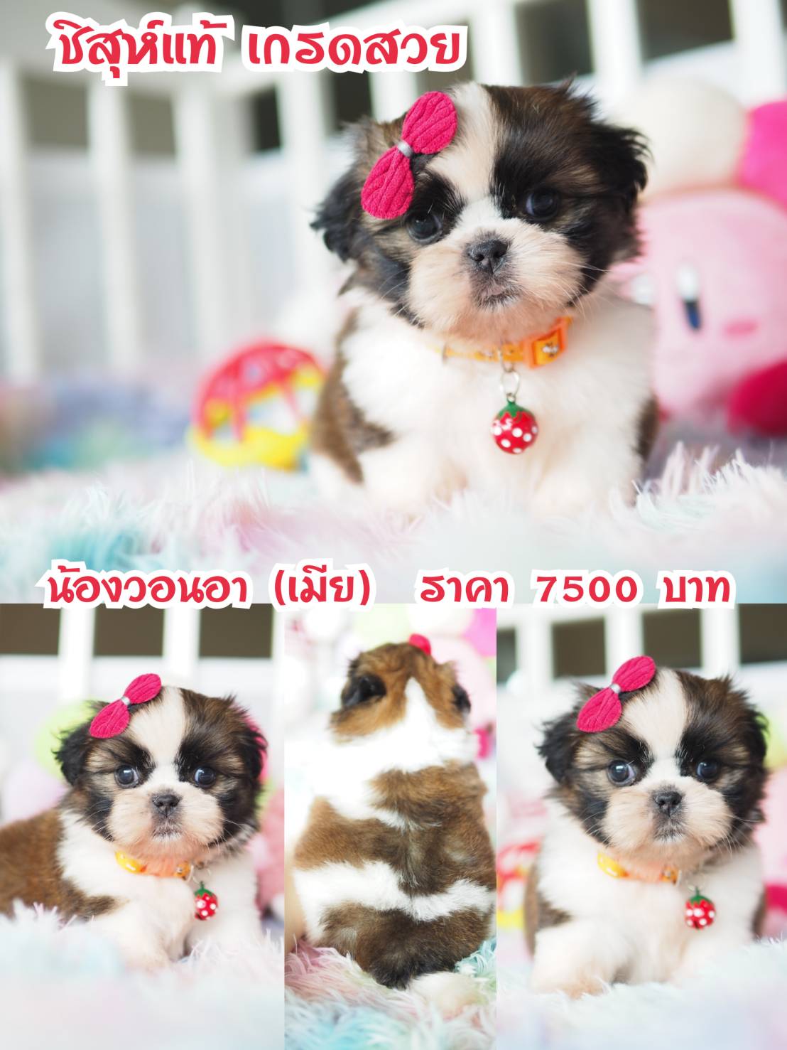 ⛔️กิ๊ฟซ่า ลดทั้งบ้าน