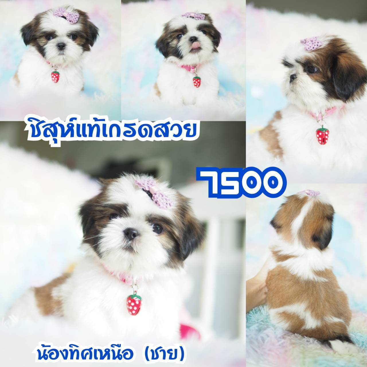 ❤️กิ๊ฟซ่า จัดโปร เกรดสวย สะพานใหม่ กทม.