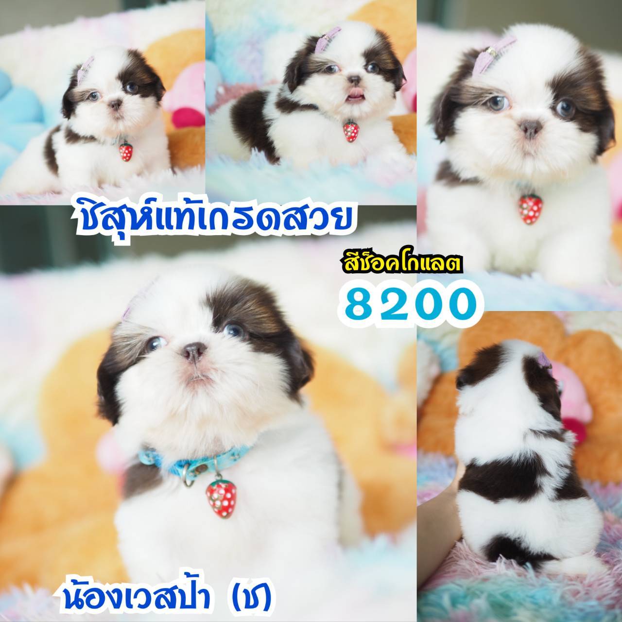 ❤️กิ๊ฟซ่า จัดโปร เกรดสวย สะพานใหม่ กทม.