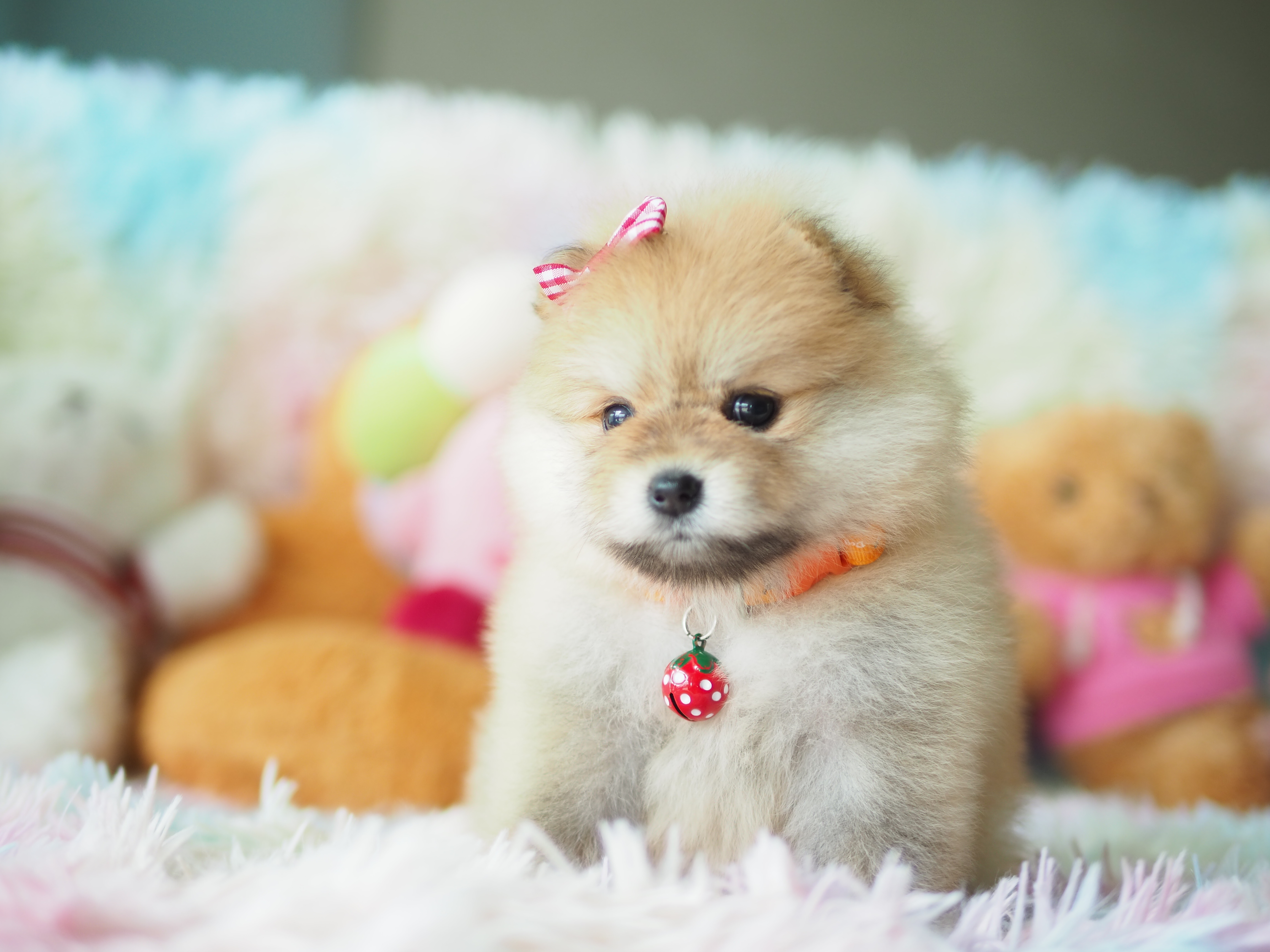 Kibzaa น่ารักมากนะ