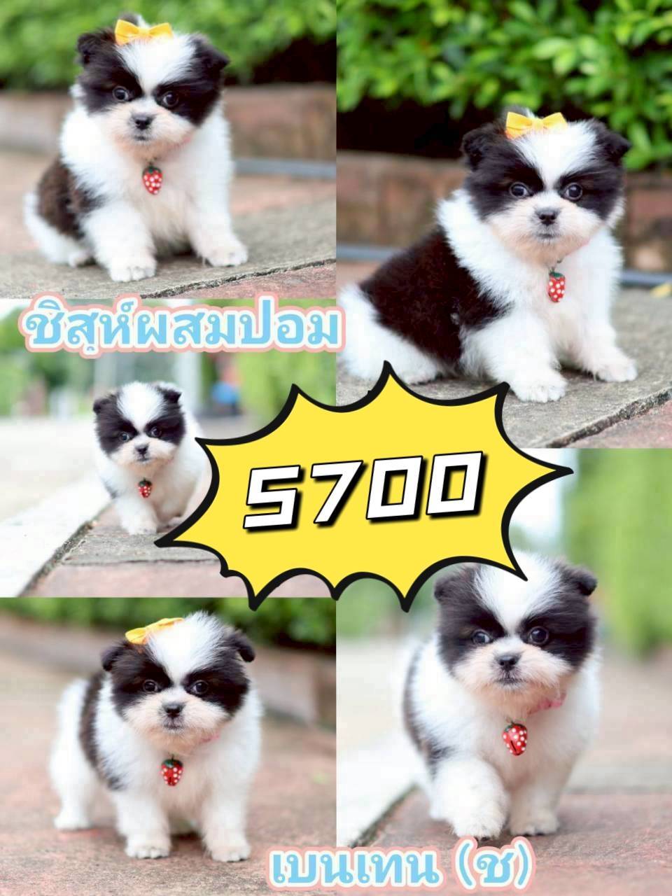 กิ๊ฟซ่ามาแล้ว