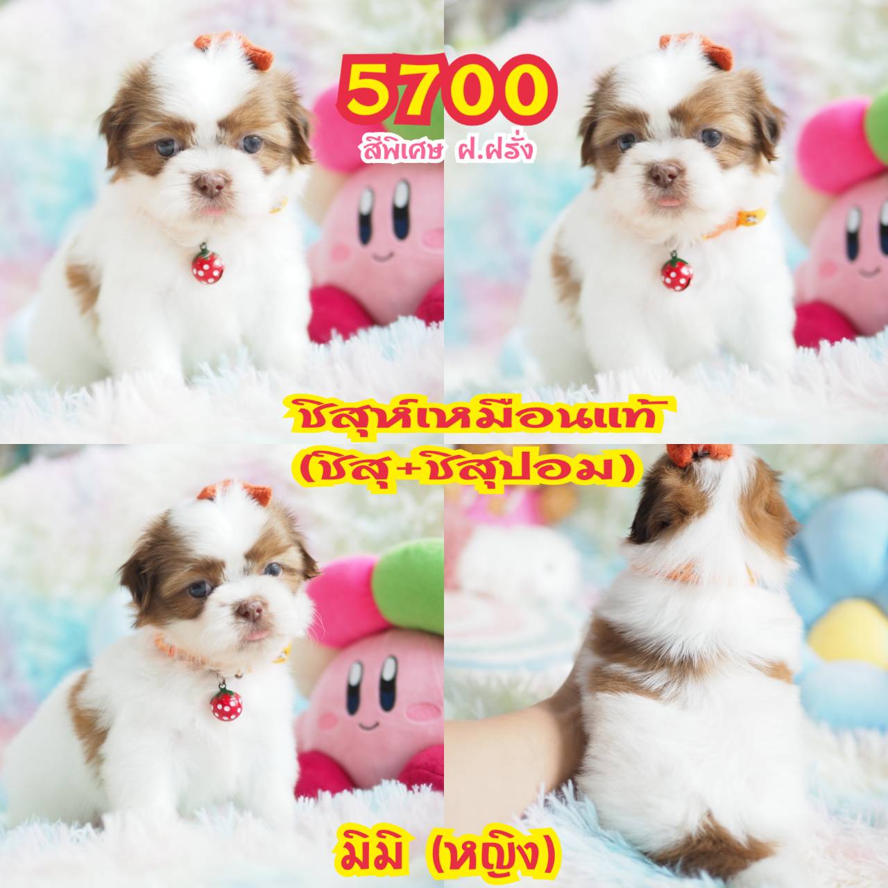 ❤️บ้านกิ๊ฟซ่า มีแต่สวยๆ