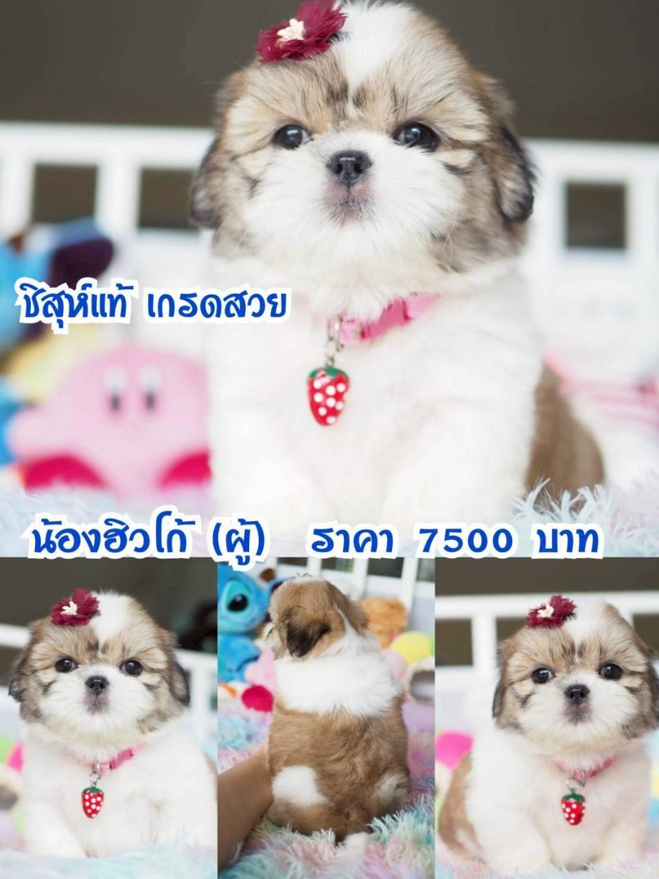 ⛔️กิ๊ฟซ่า ลดทั้งบ้าน