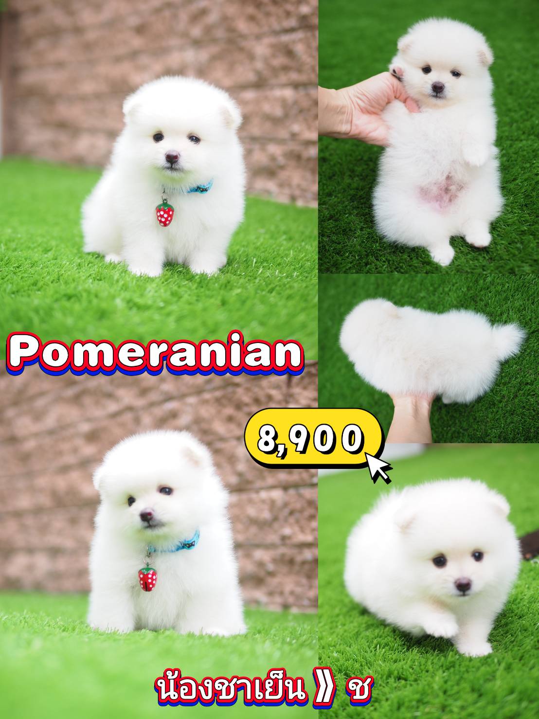 Pom จร้า หล่อเลย