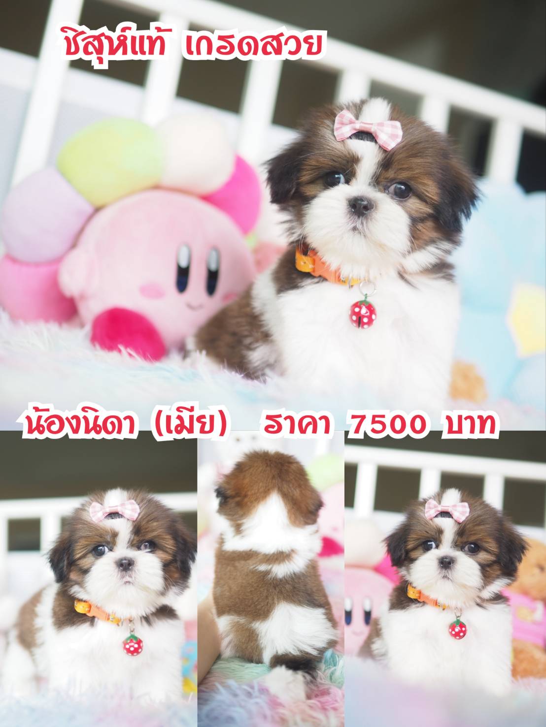 ⛔️กิ๊ฟซ่า ลดทั้งบ้าน