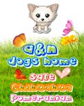 A&N Dogs Home จำหน่าย ชิวาวา-ปอม ฝากด้วยนะค่ะ