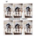 ( DoggiDogg Farm ) ปอมหน้าหมีขนเเน่น 13,500