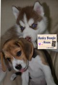 Husky Beagle House. เพจ นครสวรรค์ ชัยนาท