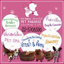 Pet Paradise Spa บริการ รับฝากสุนัขและแมว ในราคาไม่แพง มีคนดูแล 24 ชม. สถานที่ปล...