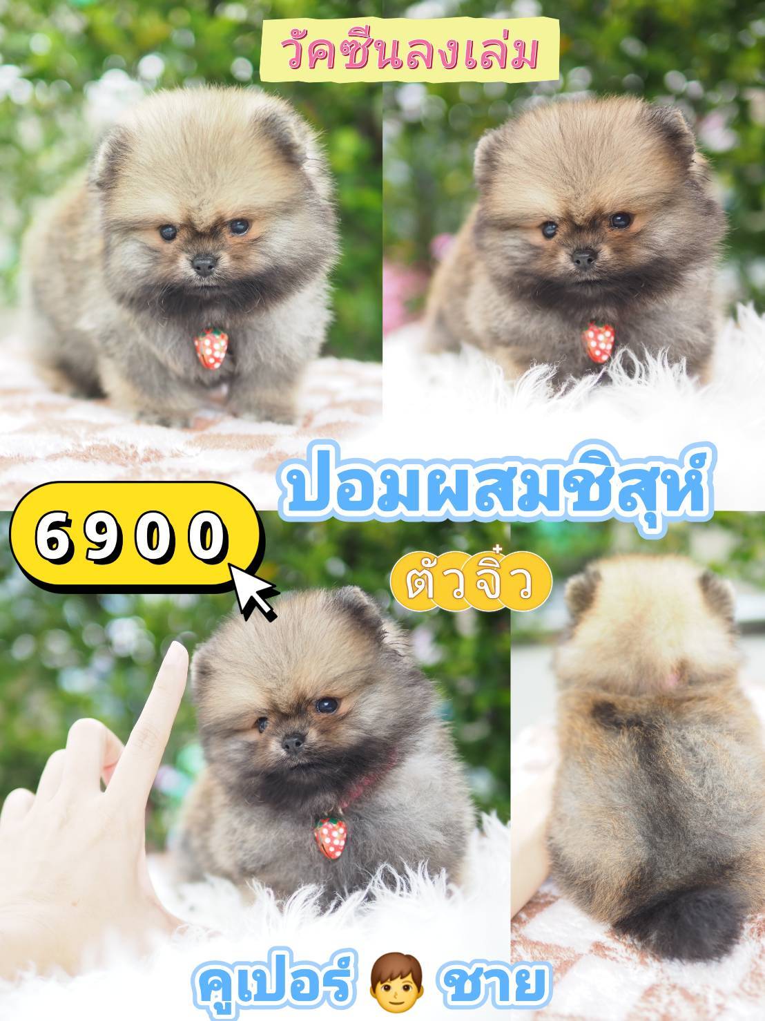 กิ๊ฟซ่า วัคซีน❣️