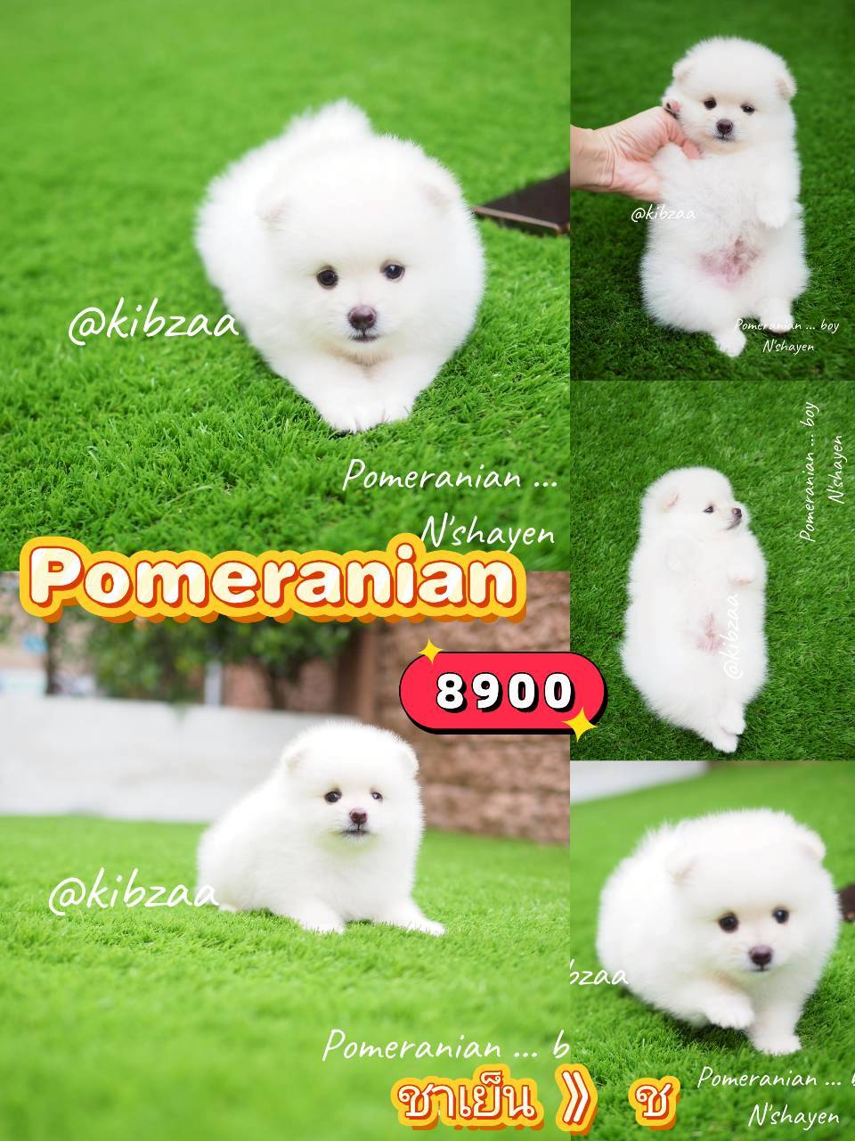 Pom จร้า หล่อเลย