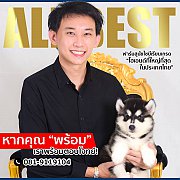 -ฟาร์มไซบีเรียนอันดับ1 ที่มีลูกค้าไว้วางใจมากที่สุดในไทย ไซบีเรียนเกรดคุณภาพ All...