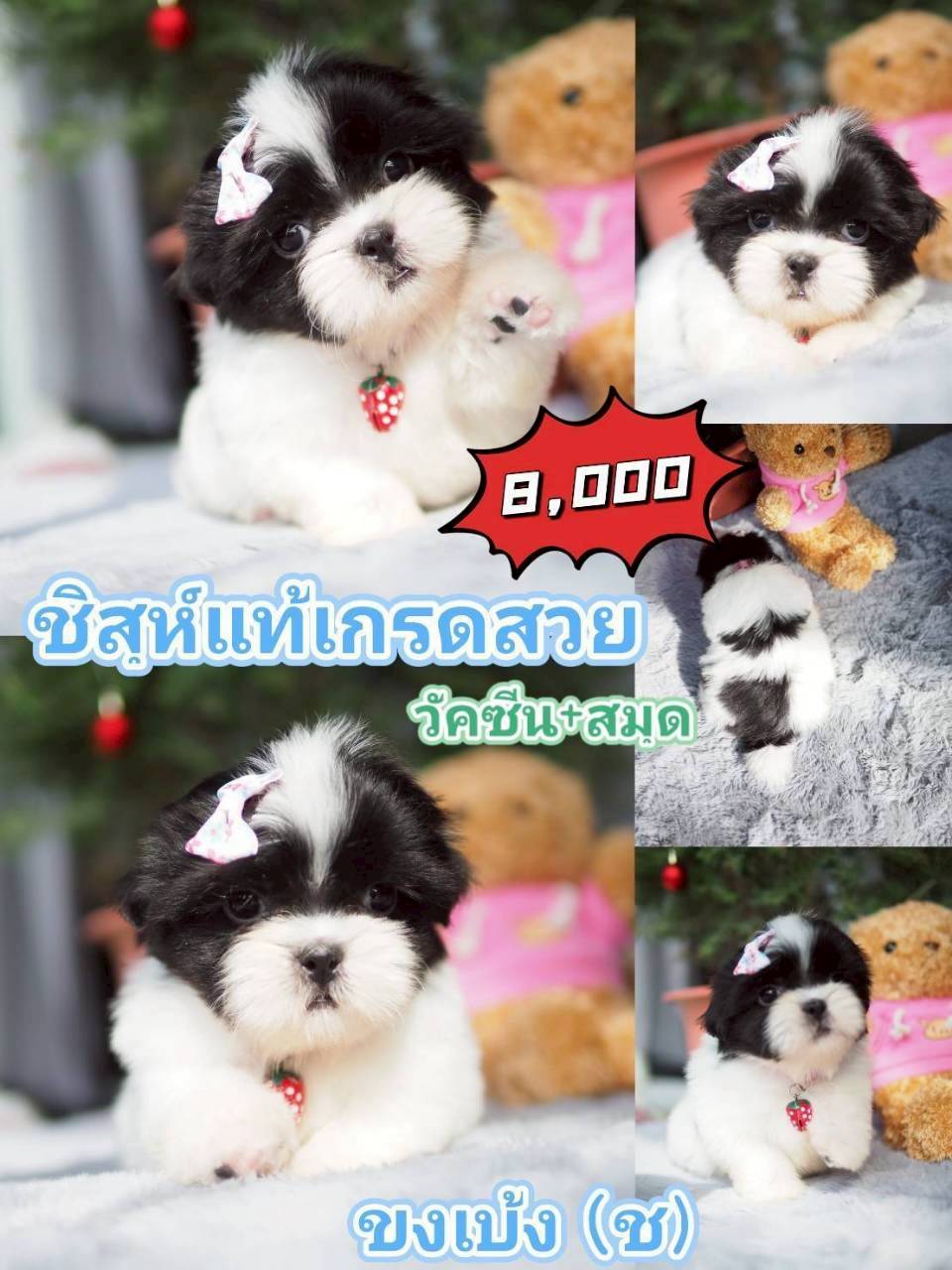กิ๊ฟซ่า ลดได้ๆ