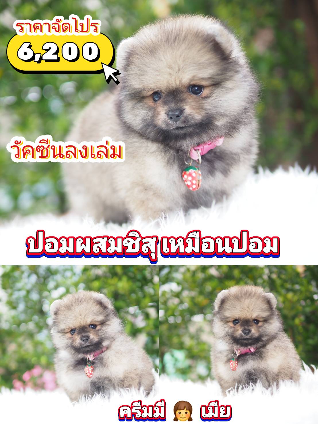 กิ๊ฟซ่า ❤️ จัดโปร