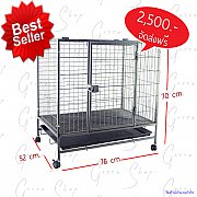 Shock price!!!!!กรงสำหรับสัตว์เลี้ยงราคาพิเศษ แยกประกอบได้