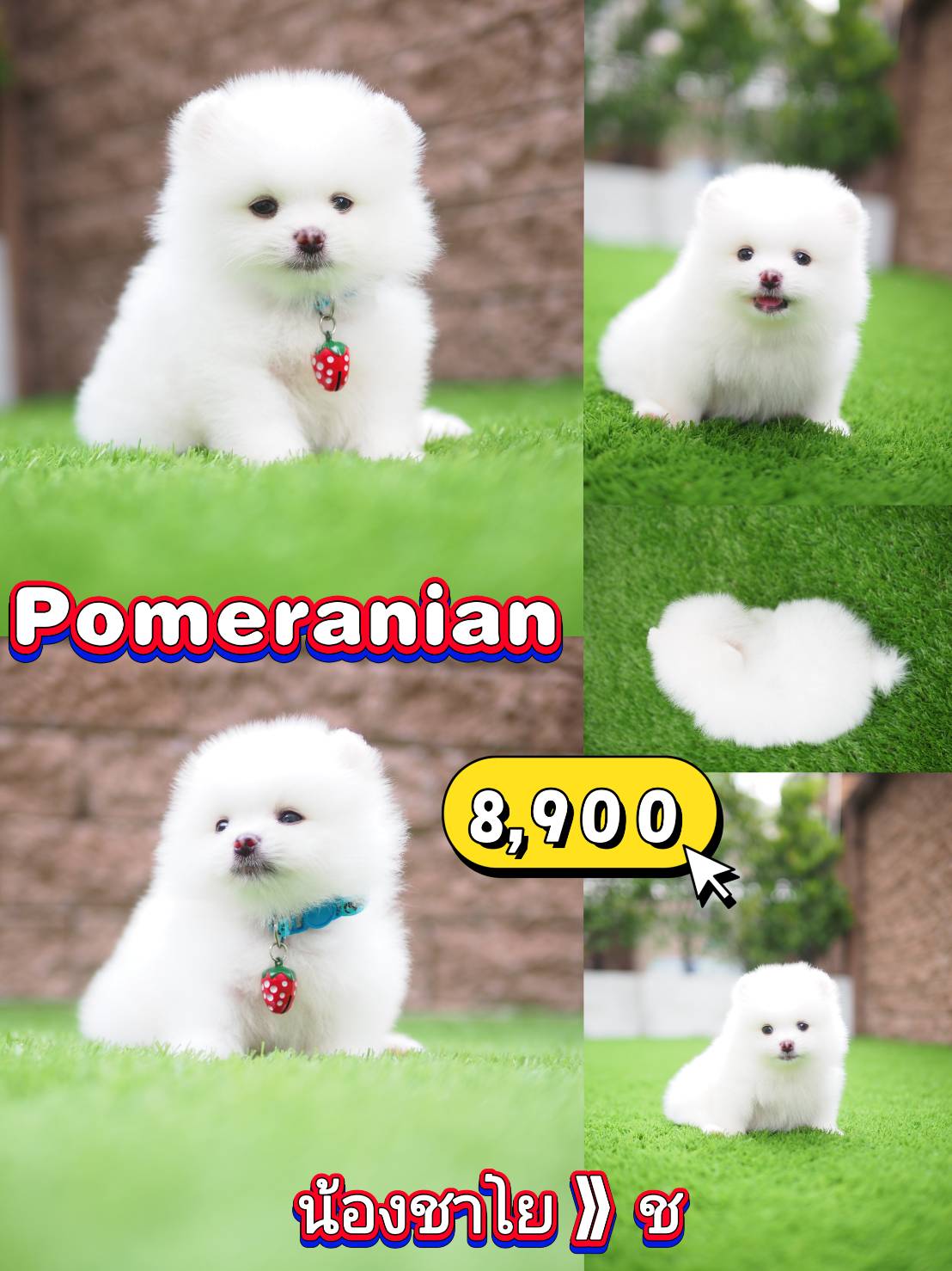 ปอม น่ารักมาก