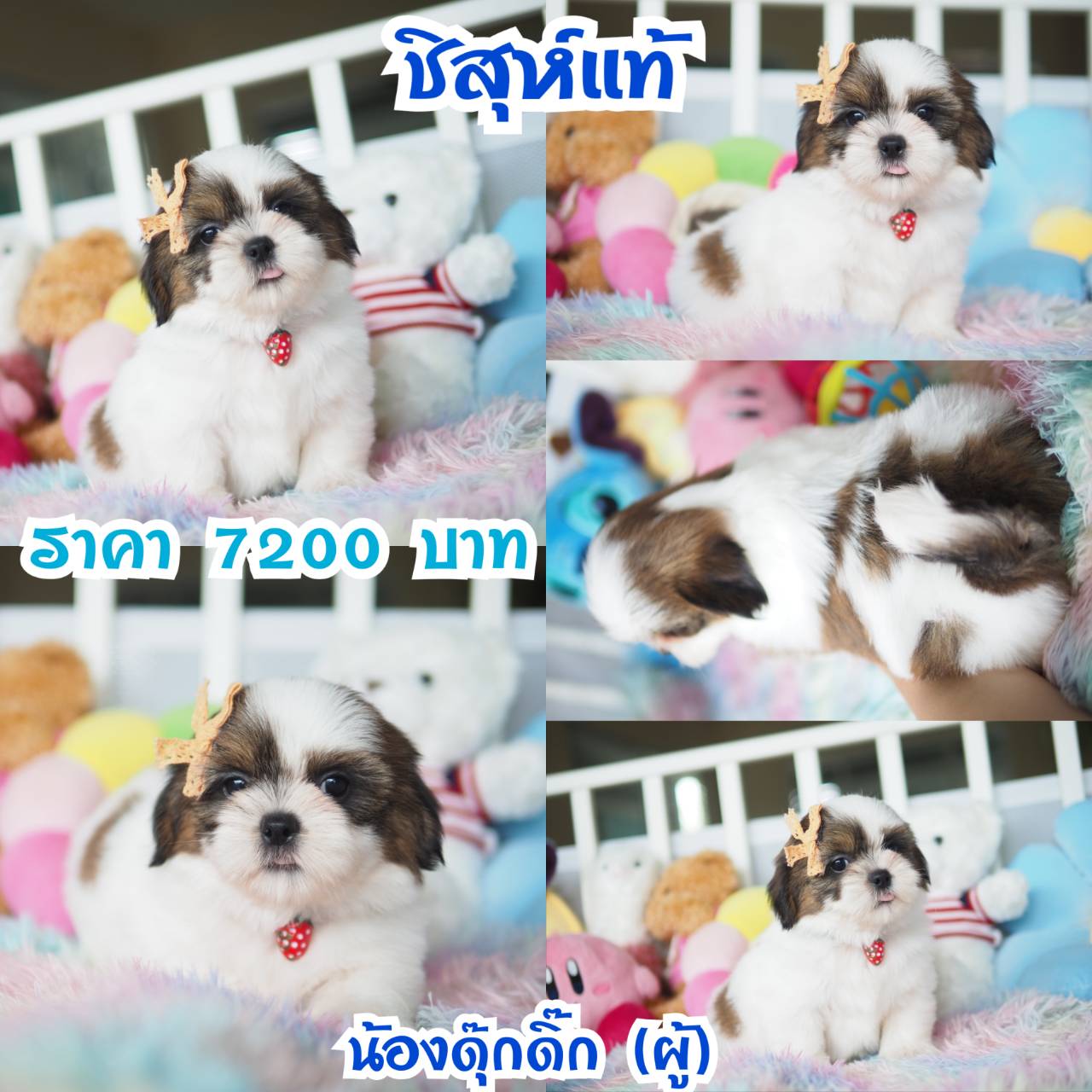 ⛔️kibzaa มีแต่สวยๆ