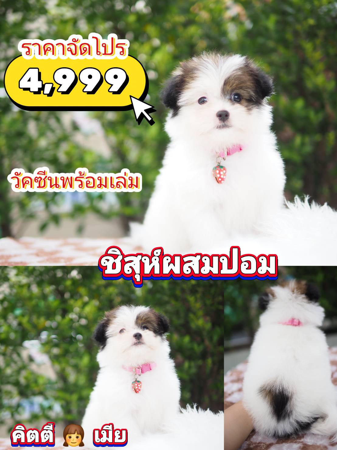 กิ๊ฟซ่า ❤️ จัดโปร