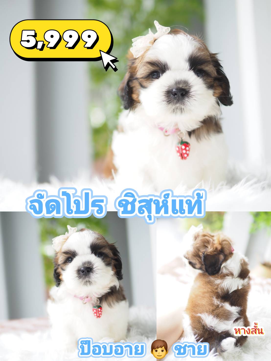 กิ๊ฟซ่า ❣️ 5999 แท้