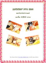 !!Summer Pro!!ชิ ขนสั้นทุกตัวราคาเดียว 4,500 บาท BY Vasunfarm<<